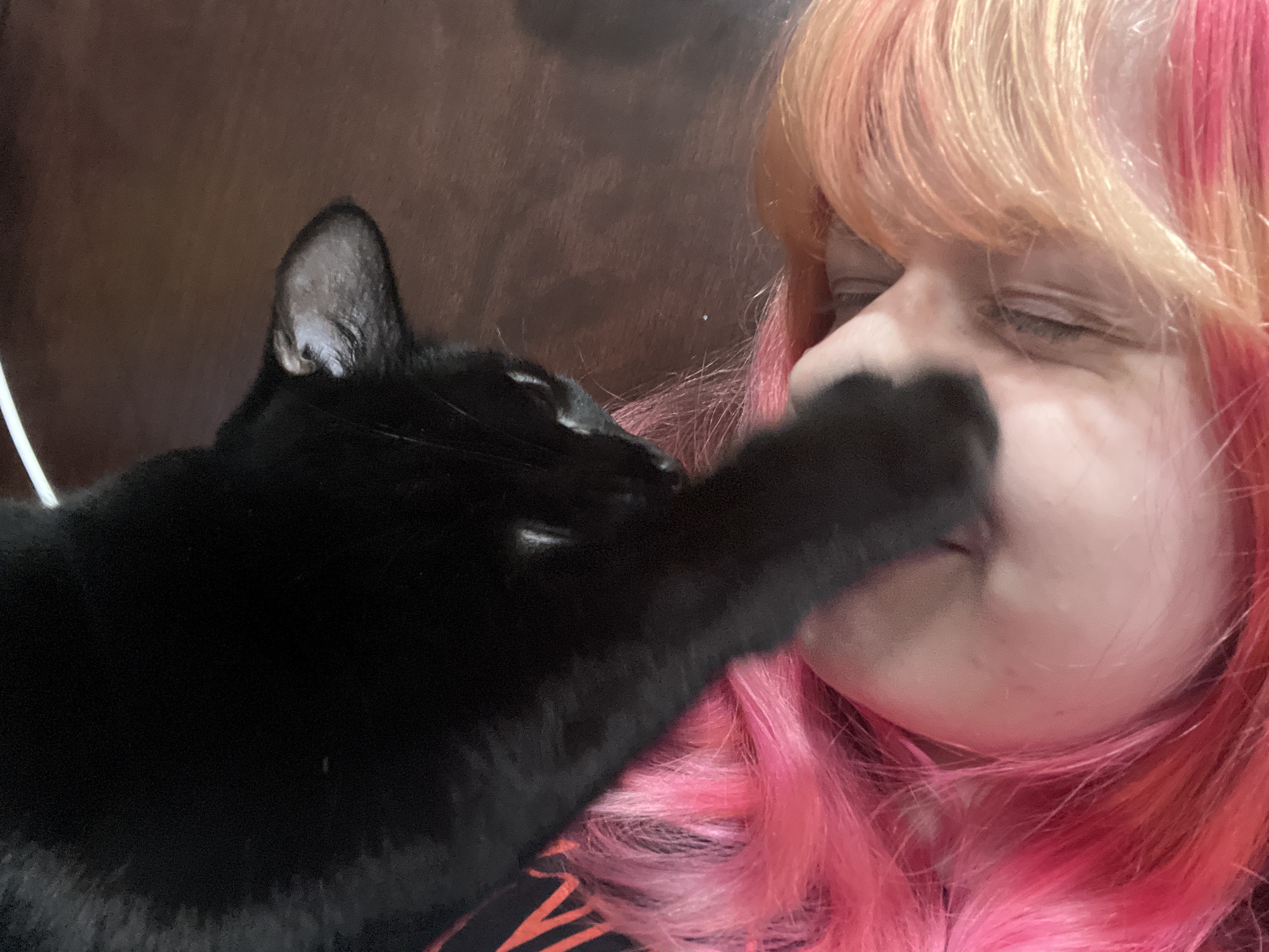 kitkat boops me